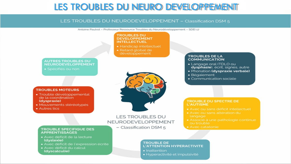Présentation des TND